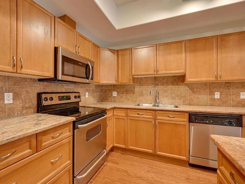 201 10319 111 Street, Edmonton, AB - Indoor Photo Showing Kitchen With Double Sink