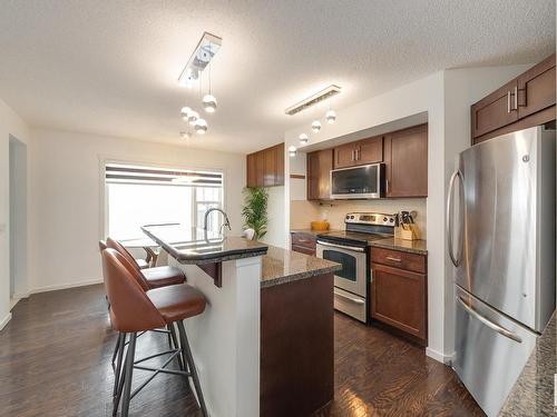 5241 Chappelle Road, Edmonton, AB - Indoor Photo Showing Kitchen With Upgraded Kitchen