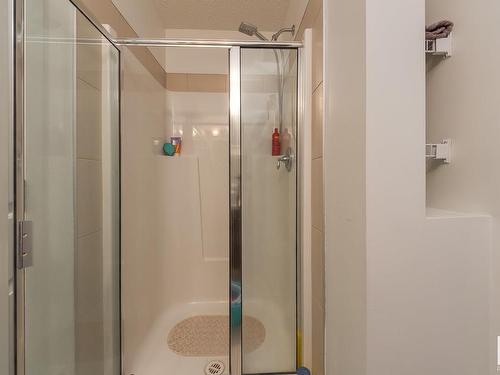 5241 Chappelle Road, Edmonton, AB - Indoor Photo Showing Bathroom