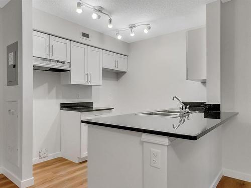 119 12025 22 Avenue, Edmonton, AB - Indoor Photo Showing Kitchen With Double Sink