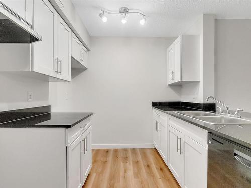 119 12025 22 Avenue, Edmonton, AB - Indoor Photo Showing Kitchen With Double Sink