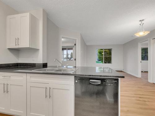 119 12025 22 Avenue, Edmonton, AB - Indoor Photo Showing Kitchen With Double Sink