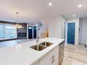 12045 95 Street, Edmonton, AB  - Indoor Photo Showing Kitchen With Fireplace With Double Sink 