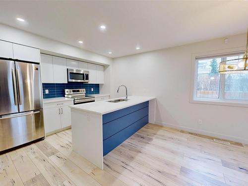 12045 95 Street, Edmonton, AB - Indoor Photo Showing Kitchen With Double Sink