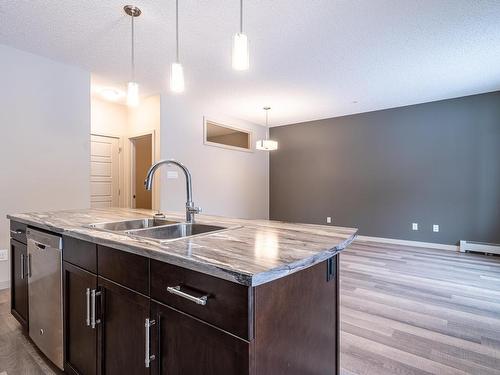 113 320 Ambleside Link, Edmonton, AB - Indoor Photo Showing Kitchen With Double Sink