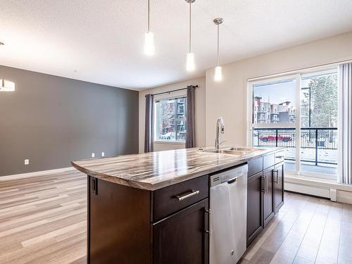 113 320 Ambleside Link, Edmonton, AB - Indoor Photo Showing Kitchen With Double Sink