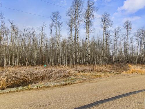 16 53521 Rge Road 272, Rural Parkland County, AB 