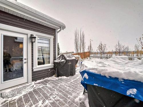 8504 223 Street, Edmonton, AB - Outdoor With Deck Patio Veranda