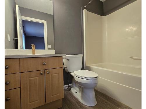 211 84 Street, Edmonton, AB - Indoor Photo Showing Bathroom