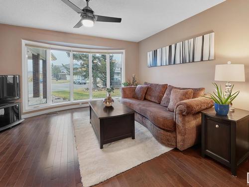 1428 104 Street, Edmonton, AB - Indoor Photo Showing Living Room