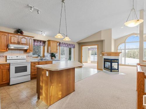 2 51504 Rge Road 264, Rural Parkland County, AB - Indoor Photo Showing Kitchen With Fireplace With Double Sink