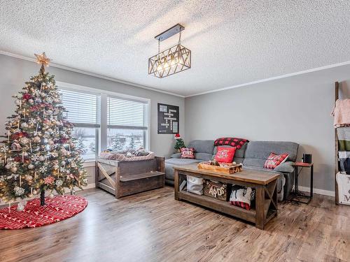 5228 Twp Rd 564, Rural Lac Ste. Anne County, AB - Indoor Photo Showing Living Room