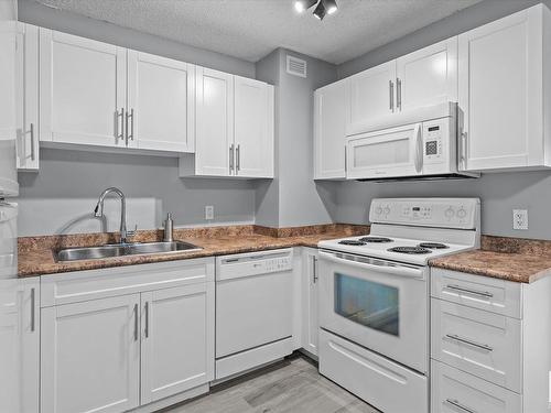 308 9710 105 Street, Edmonton, AB - Indoor Photo Showing Kitchen With Double Sink