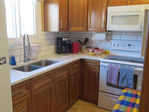 260 Richfield Road Nw, Edmonton, AB - Indoor Photo Showing Kitchen With Double Sink