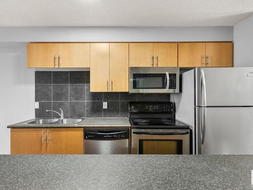 113 10118 106 Avenue Nw, Edmonton, AB - Indoor Photo Showing Kitchen With Double Sink