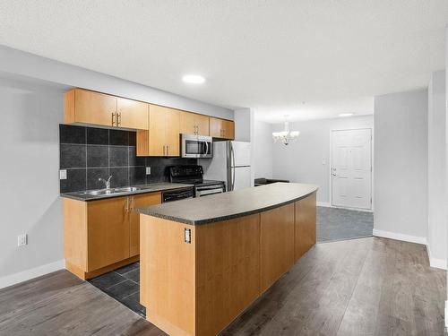 113 10118 106 Avenue Nw, Edmonton, AB - Indoor Photo Showing Kitchen With Double Sink