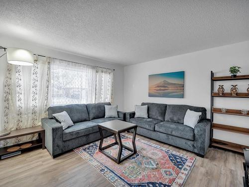 13213 95 Street, Edmonton, AB - Indoor Photo Showing Living Room