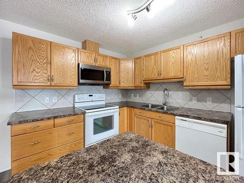 418 16035 132 Street, Edmonton, AB - Indoor Photo Showing Kitchen With Double Sink