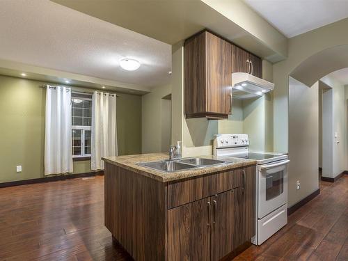 11817 65 Street, Edmonton, AB - Indoor Photo Showing Kitchen With Double Sink