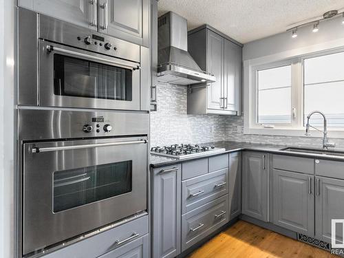 10170 88 Street, Edmonton, AB - Indoor Photo Showing Kitchen With Stainless Steel Kitchen With Upgraded Kitchen