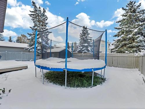 263 Gariepy Cr Nw, Edmonton, AB 