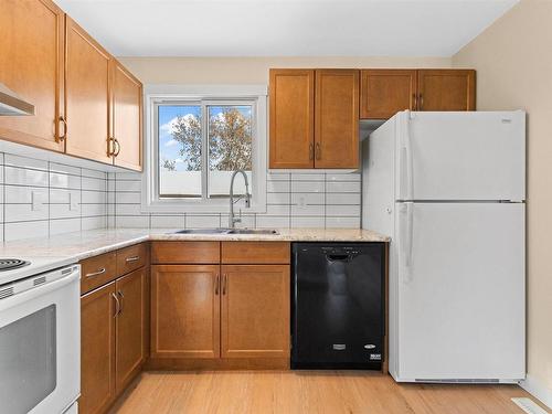 3423 42 Street, Edmonton, AB - Indoor Photo Showing Kitchen With Double Sink