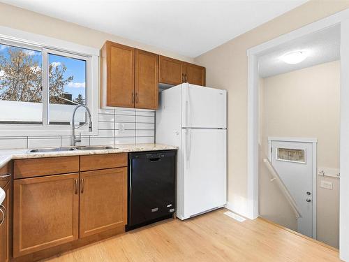 3423 42 Street, Edmonton, AB - Indoor Photo Showing Kitchen With Double Sink