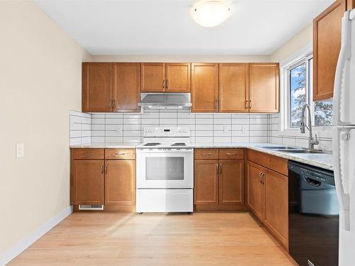 3423 42 Street, Edmonton, AB - Indoor Photo Showing Kitchen With Double Sink