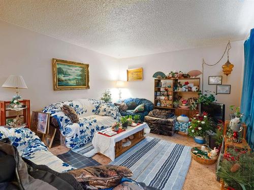 9539-9541 129B Avenue, Edmonton, AB - Indoor Photo Showing Living Room