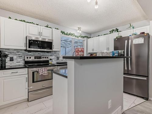 1217 76 Street Sw, Edmonton, AB - Indoor Photo Showing Kitchen With Stainless Steel Kitchen