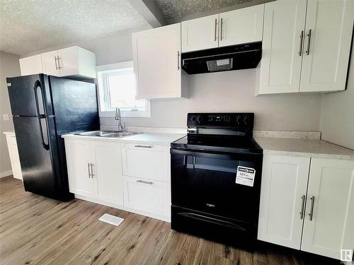 12018 77 Street Nw, Edmonton, AB - Indoor Photo Showing Kitchen With Double Sink