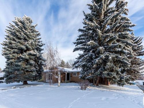 3131 74 Street, Edmonton, AB - Outdoor