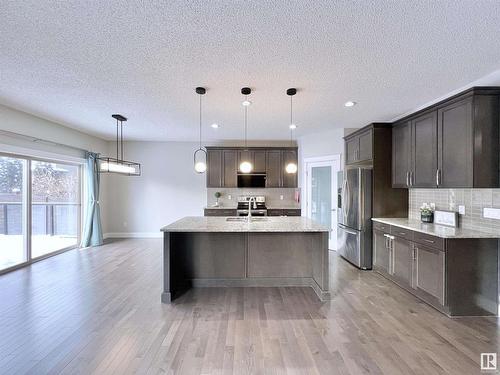 2087 Ware Road, Edmonton, AB - Indoor Photo Showing Kitchen With Upgraded Kitchen