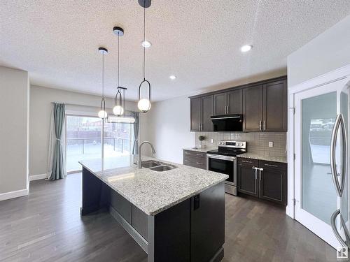 2087 Ware Road, Edmonton, AB - Indoor Photo Showing Kitchen With Double Sink With Upgraded Kitchen