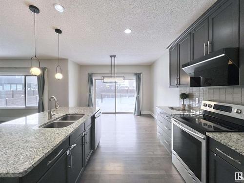 2087 Ware Road, Edmonton, AB - Indoor Photo Showing Kitchen With Double Sink With Upgraded Kitchen