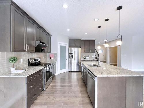 2087 Ware Road, Edmonton, AB - Indoor Photo Showing Kitchen With Upgraded Kitchen