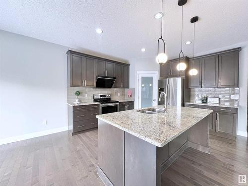 2087 Ware Road, Edmonton, AB - Indoor Photo Showing Kitchen With Double Sink With Upgraded Kitchen