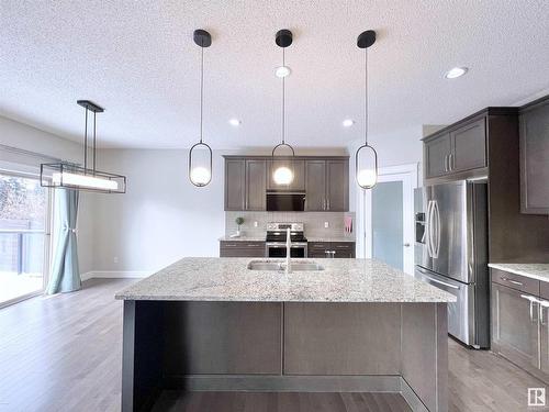 2087 Ware Road, Edmonton, AB - Indoor Photo Showing Kitchen With Upgraded Kitchen