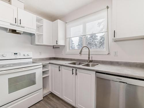 3949 62 Street, Edmonton, AB - Indoor Photo Showing Kitchen With Double Sink