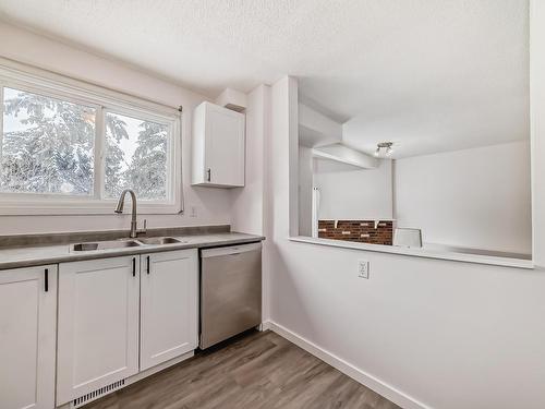 3949 62 Street, Edmonton, AB - Indoor Photo Showing Kitchen With Double Sink