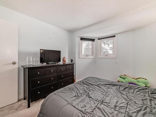 3949 62 Street, Edmonton, AB - Indoor Photo Showing Bedroom