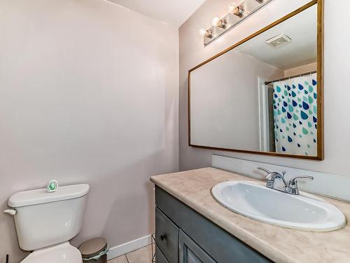 3949 62 Street, Edmonton, AB - Indoor Photo Showing Bathroom