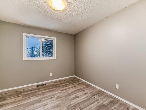 11810 43 Street, Edmonton, AB - Indoor Photo Showing Other Room