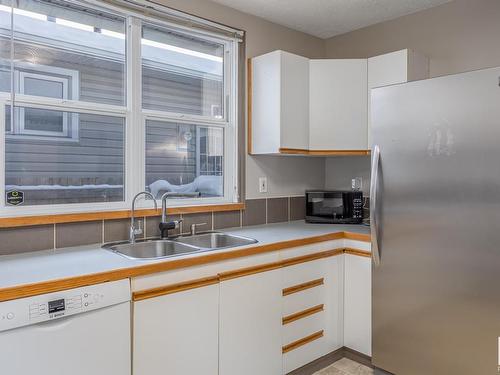 12034 62 Street, Edmonton, AB - Indoor Photo Showing Kitchen With Double Sink