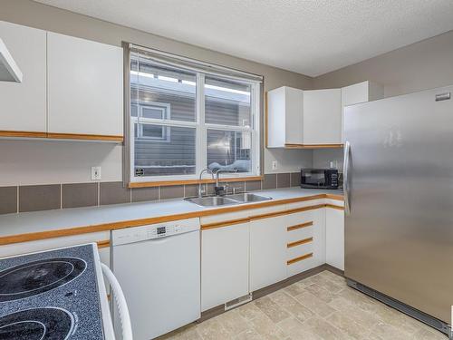 12034 62 Street, Edmonton, AB - Indoor Photo Showing Kitchen With Double Sink