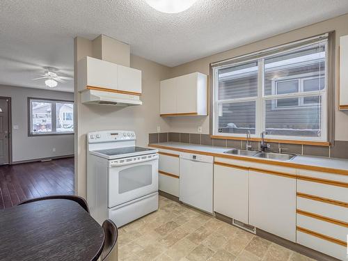 12034 62 Street, Edmonton, AB - Indoor Photo Showing Kitchen With Double Sink