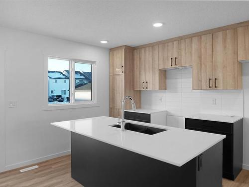 2732 193 Street, Edmonton, AB - Indoor Photo Showing Kitchen With Double Sink