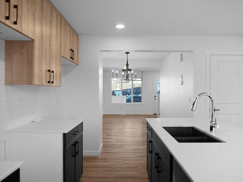 2732 193 Street, Edmonton, AB - Indoor Photo Showing Kitchen With Double Sink