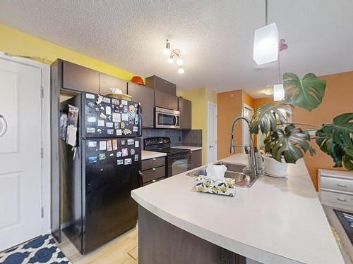 453 1196 Hyndman Rd, Edmonton, AB - Indoor Photo Showing Kitchen With Double Sink