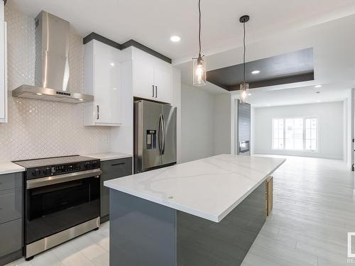 22 Chambery Crescent, St. Albert, AB - Indoor Photo Showing Kitchen With Stainless Steel Kitchen With Upgraded Kitchen